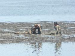 MuddyChildren